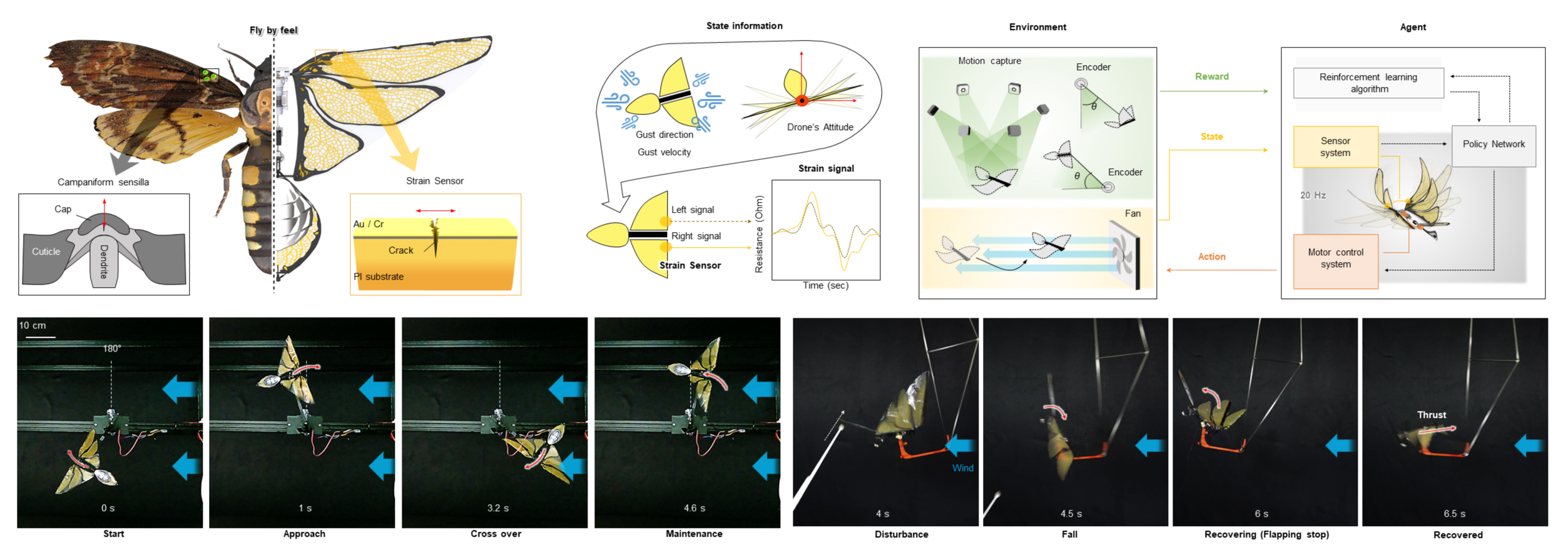 Bio-Inspired Micro-Robotics